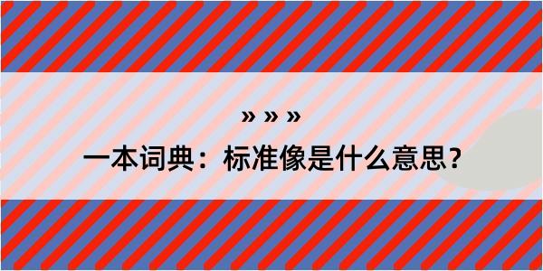 一本词典：标准像是什么意思？