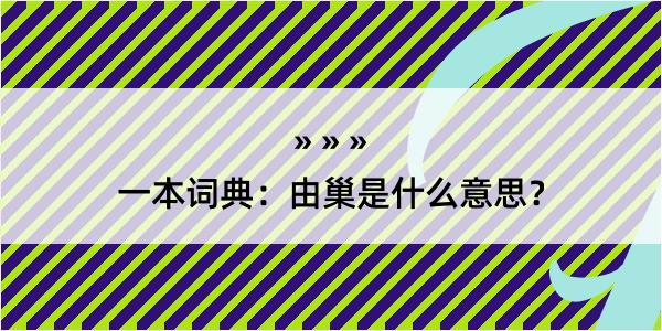 一本词典：由巢是什么意思？