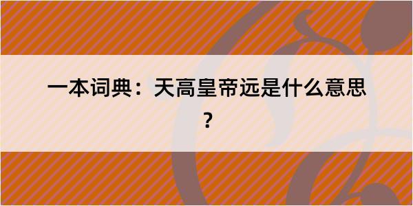 一本词典：天高皇帝远是什么意思？