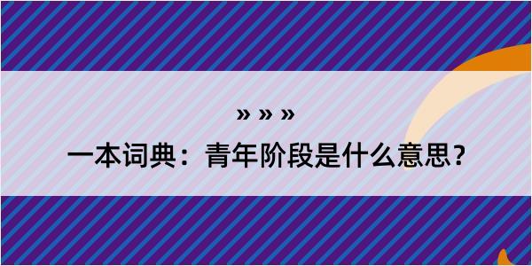 一本词典：青年阶段是什么意思？