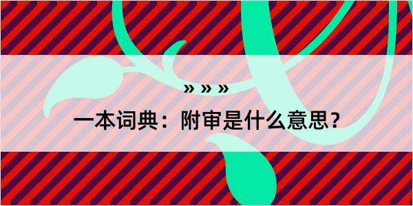 一本词典：附审是什么意思？