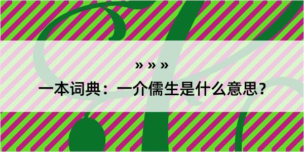 一本词典：一介儒生是什么意思？