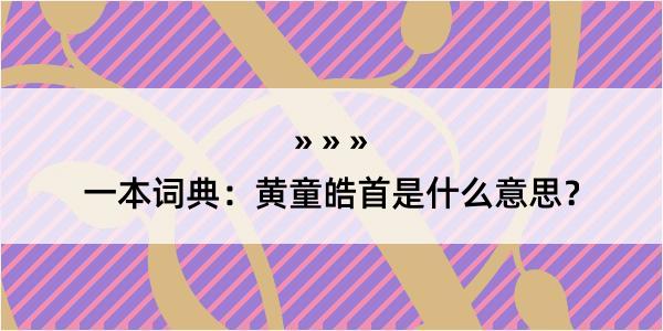 一本词典：黄童皓首是什么意思？