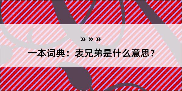 一本词典：表兄弟是什么意思？