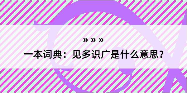 一本词典：见多识广是什么意思？