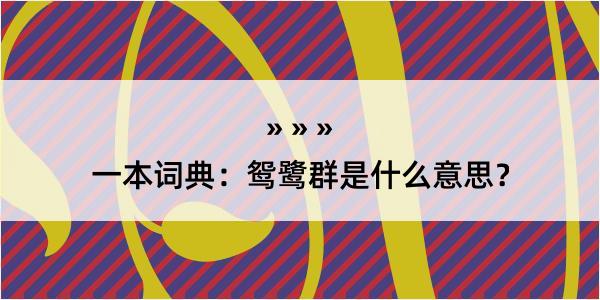 一本词典：鸳鹭群是什么意思？