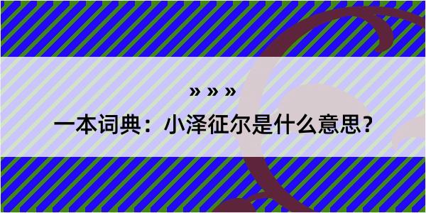 一本词典：小泽征尔是什么意思？