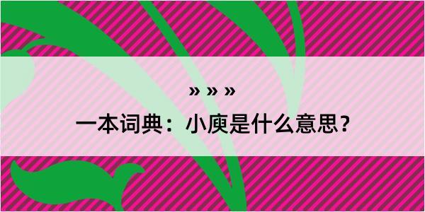 一本词典：小庾是什么意思？