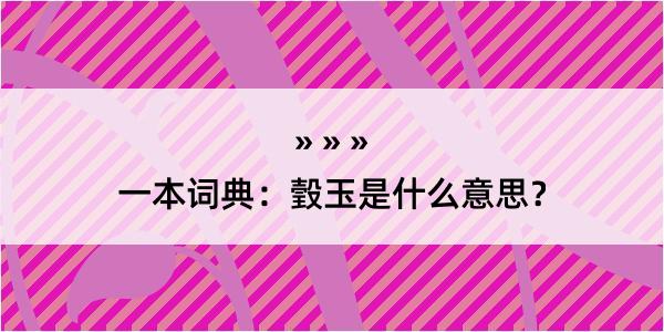 一本词典：瑴玉是什么意思？