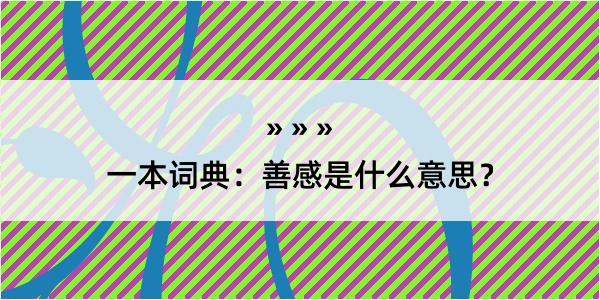 一本词典：善感是什么意思？