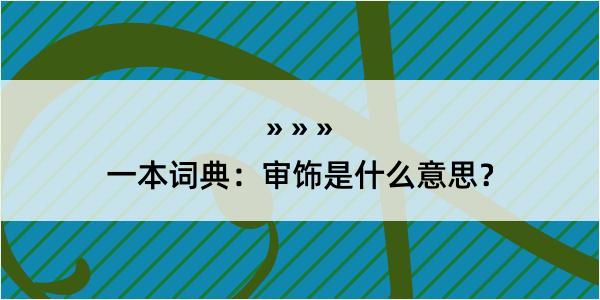 一本词典：审饰是什么意思？