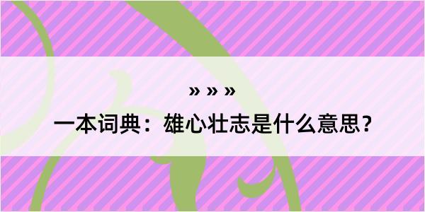 一本词典：雄心壮志是什么意思？