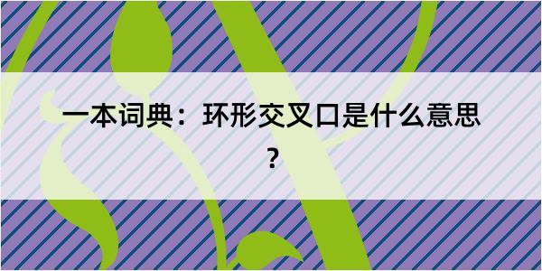 一本词典：环形交叉口是什么意思？