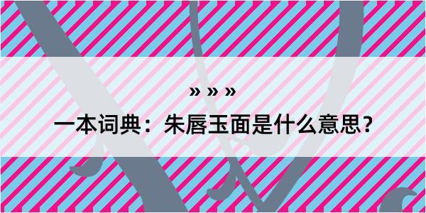 一本词典：朱唇玉面是什么意思？