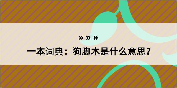 一本词典：狗脚木是什么意思？