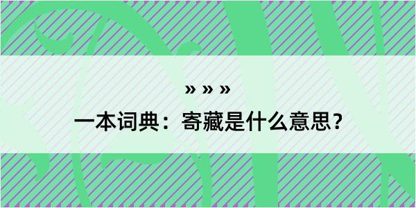 一本词典：寄藏是什么意思？