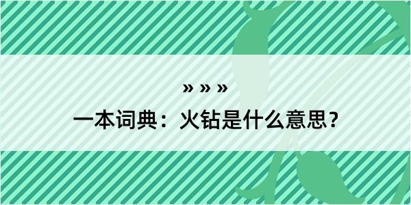 一本词典：火钻是什么意思？