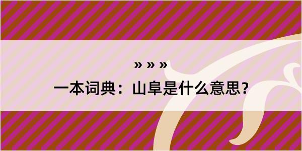 一本词典：山阜是什么意思？