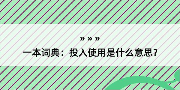 一本词典：投入使用是什么意思？