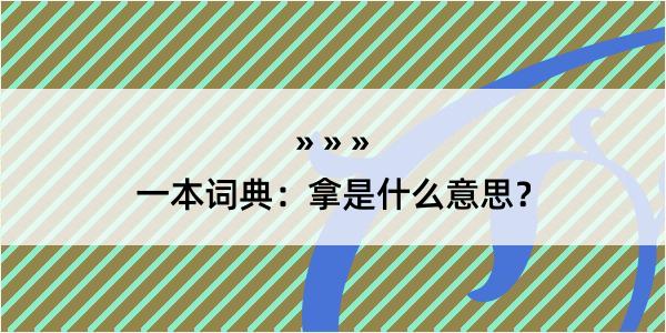 一本词典：拿是什么意思？