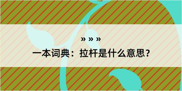 一本词典：拉杆是什么意思？