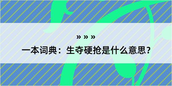 一本词典：生夺硬抢是什么意思？