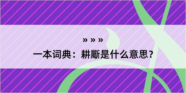 一本词典：耕斸是什么意思？