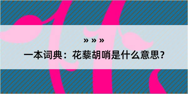 一本词典：花藜胡哨是什么意思？