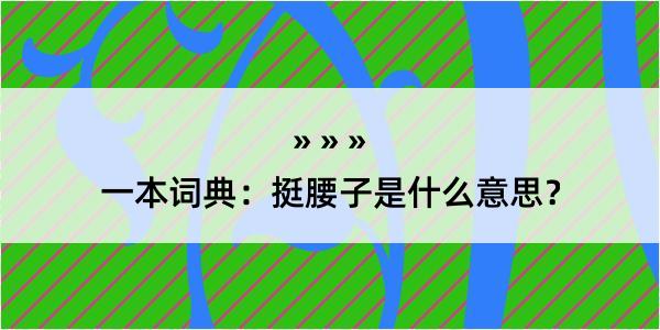 一本词典：挺腰子是什么意思？