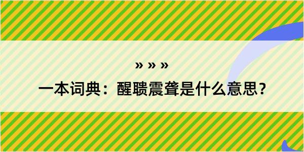 一本词典：醒聩震聋是什么意思？