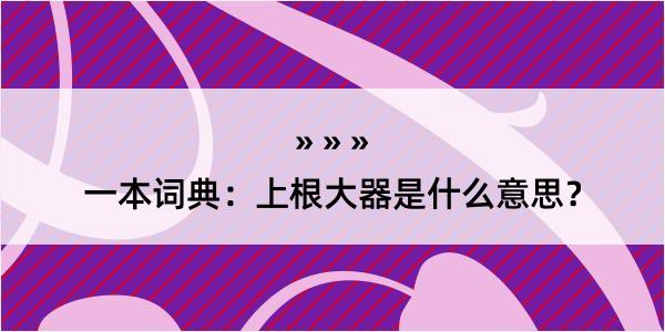 一本词典：上根大器是什么意思？