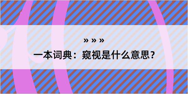 一本词典：窥视是什么意思？