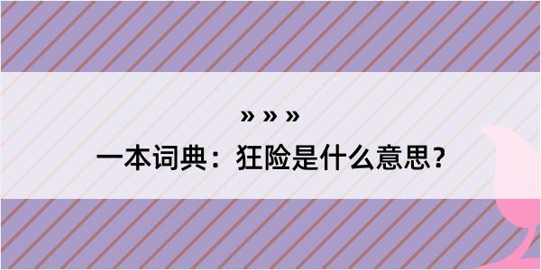 一本词典：狂险是什么意思？