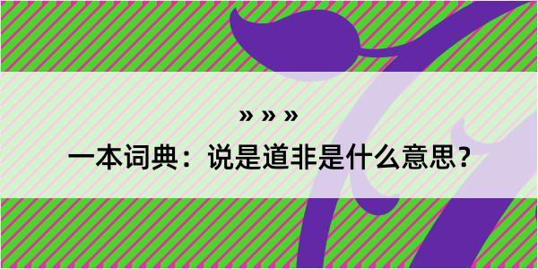 一本词典：说是道非是什么意思？