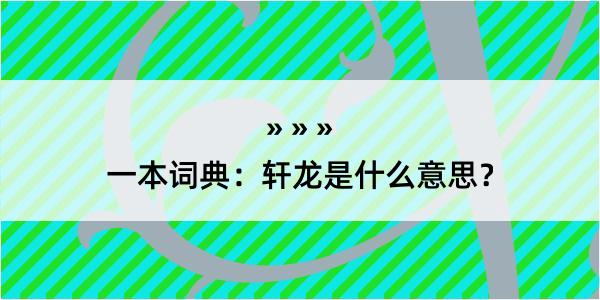 一本词典：轩龙是什么意思？