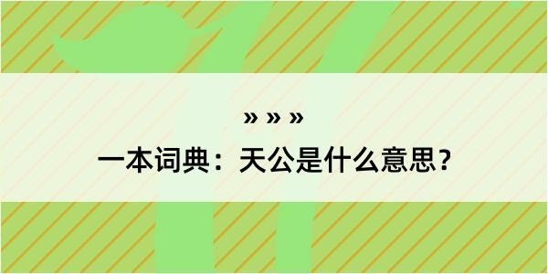 一本词典：天公是什么意思？