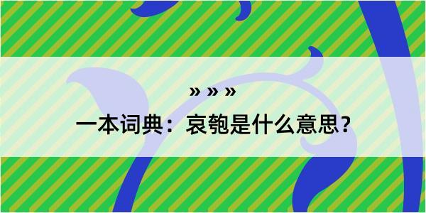 一本词典：哀匏是什么意思？