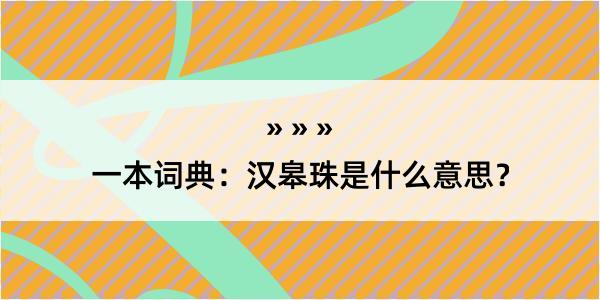 一本词典：汉皋珠是什么意思？