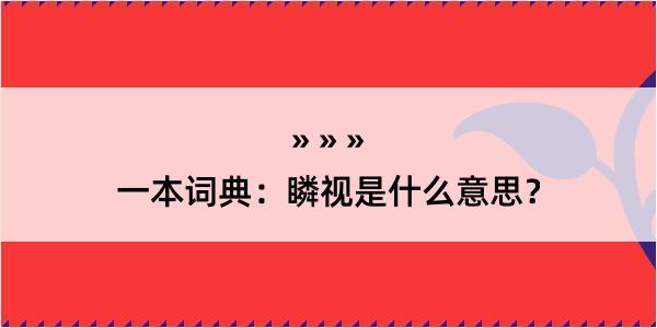 一本词典：瞵视是什么意思？