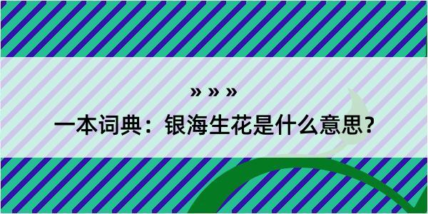 一本词典：银海生花是什么意思？