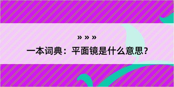 一本词典：平面镜是什么意思？