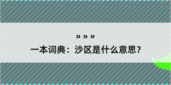 一本词典：沙区是什么意思？