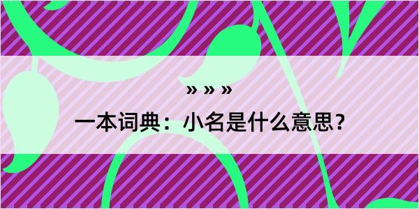 一本词典：小名是什么意思？