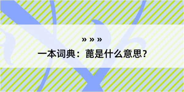 一本词典：蓖是什么意思？