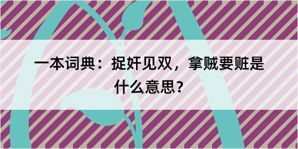 一本词典：捉奸见双，拿贼要赃是什么意思？