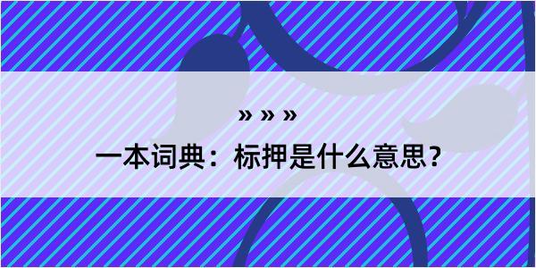 一本词典：标押是什么意思？