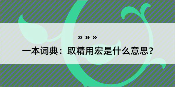 一本词典：取精用宏是什么意思？