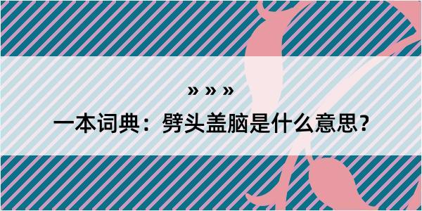 一本词典：劈头盖脑是什么意思？