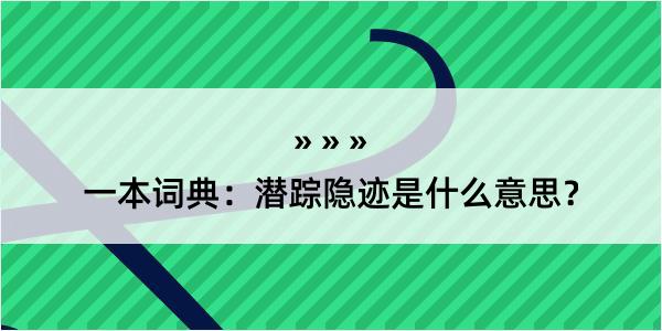 一本词典：潜踪隐迹是什么意思？