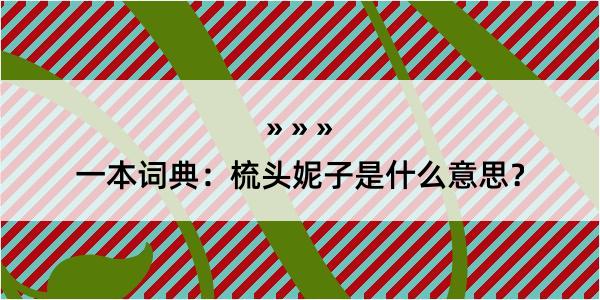 一本词典：梳头妮子是什么意思？